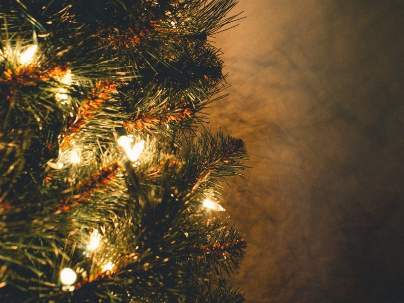 Las luces del árbol