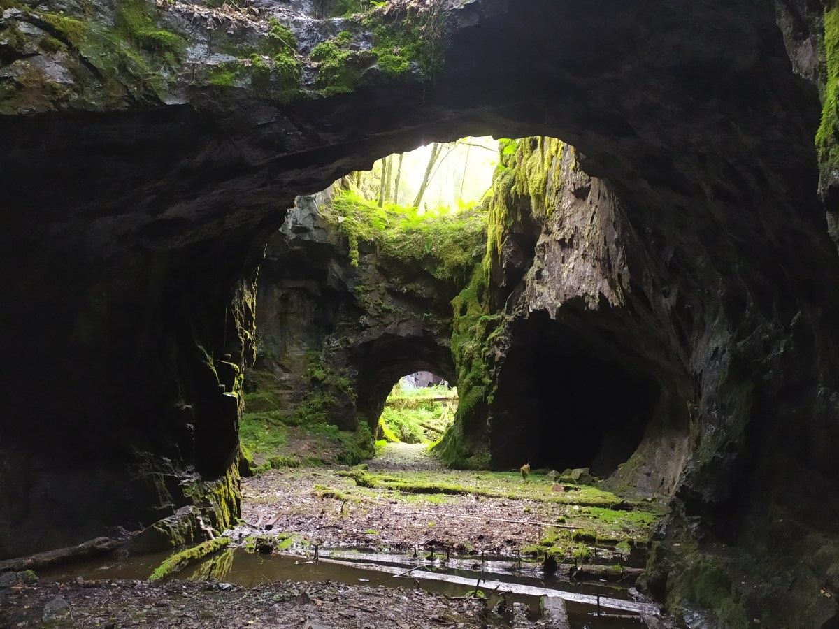 Lo inapropiado de tu nombre